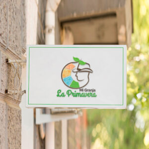 Diseño de Logotipo y Marca Putumayo